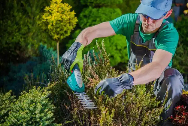 landscaping services Springs